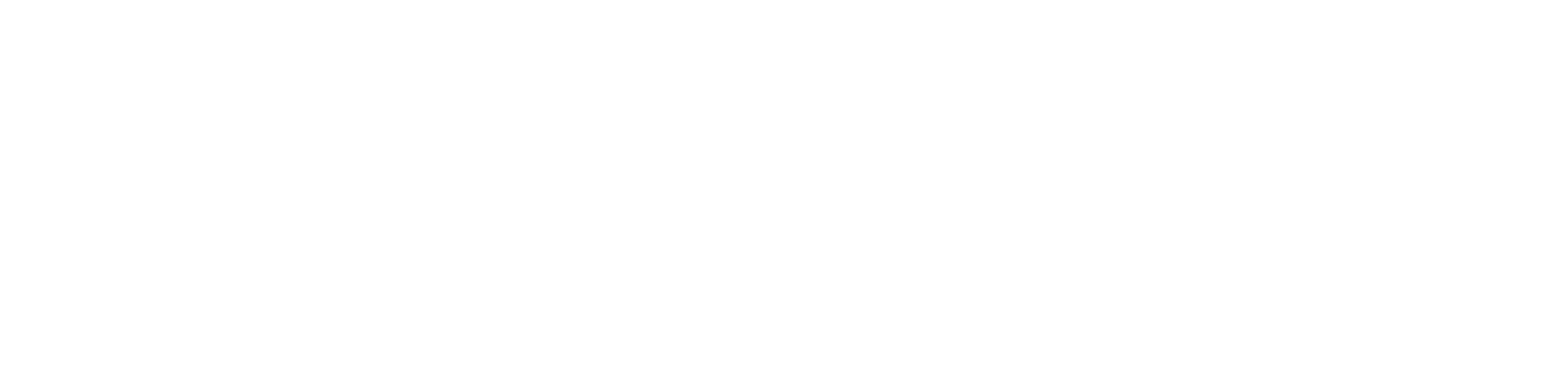 Logo BonjourMaitre